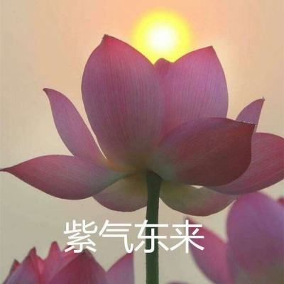 深空狼人杀官方版下载