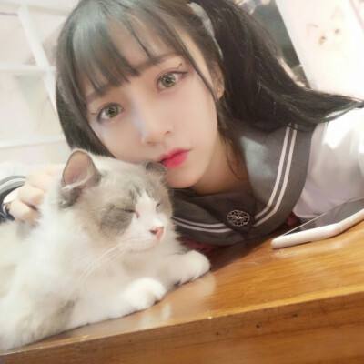 猎魔无双破解版下载